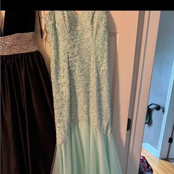 Vienna Pageant/Prom Dress - Picture 4 of 4